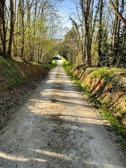 *Gite Aux Grappes Du Pressoir* A 2 Km De Beauval Seigy Eksteriør billede