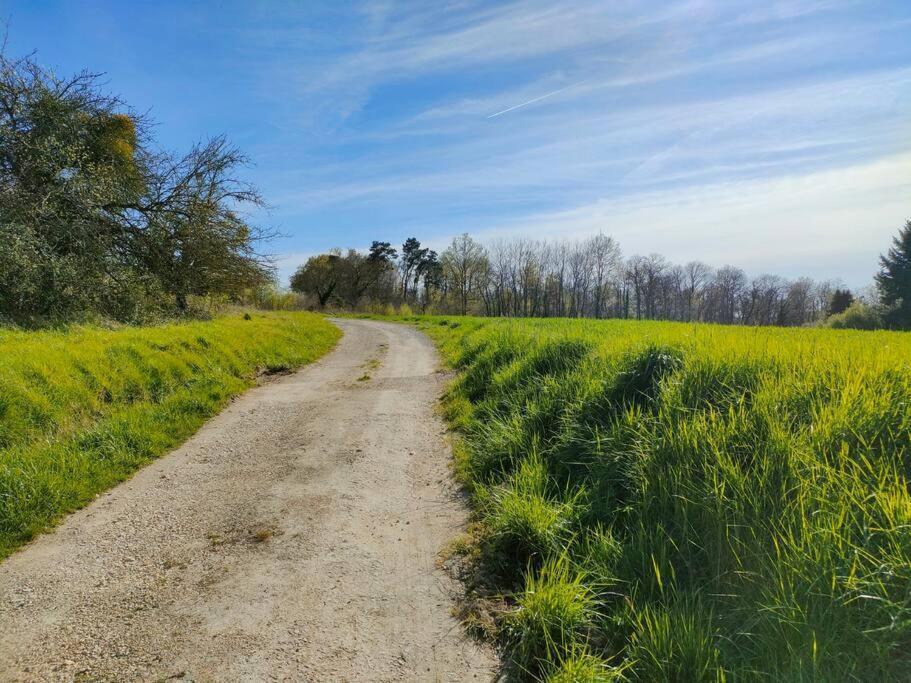 *Gite Aux Grappes Du Pressoir* A 2 Km De Beauval Seigy Eksteriør billede